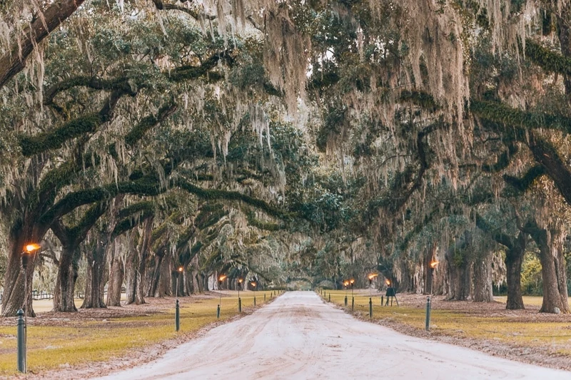 Charleston Sc Map