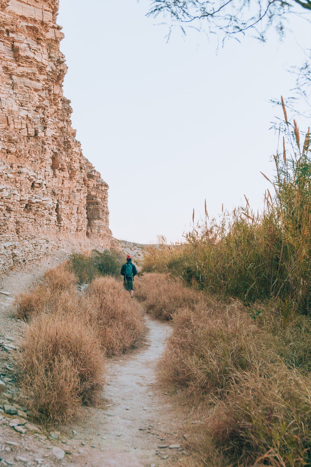 Big Bend National Park Hiking