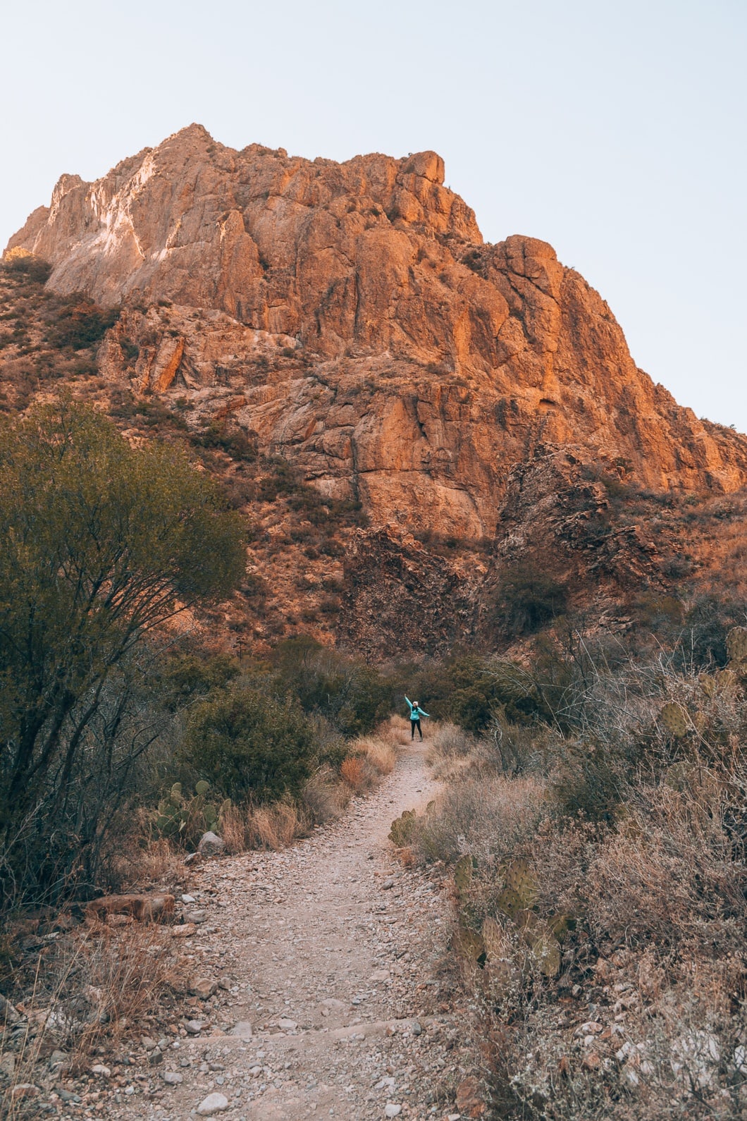 Big Bend National Park Hiking