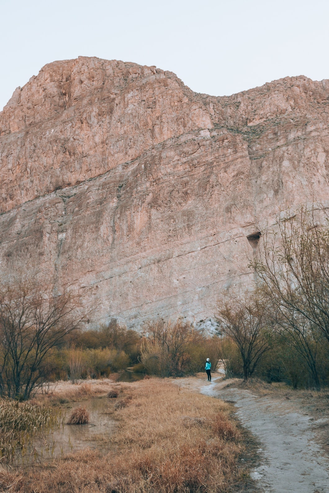 Big Bend National Park Hiking