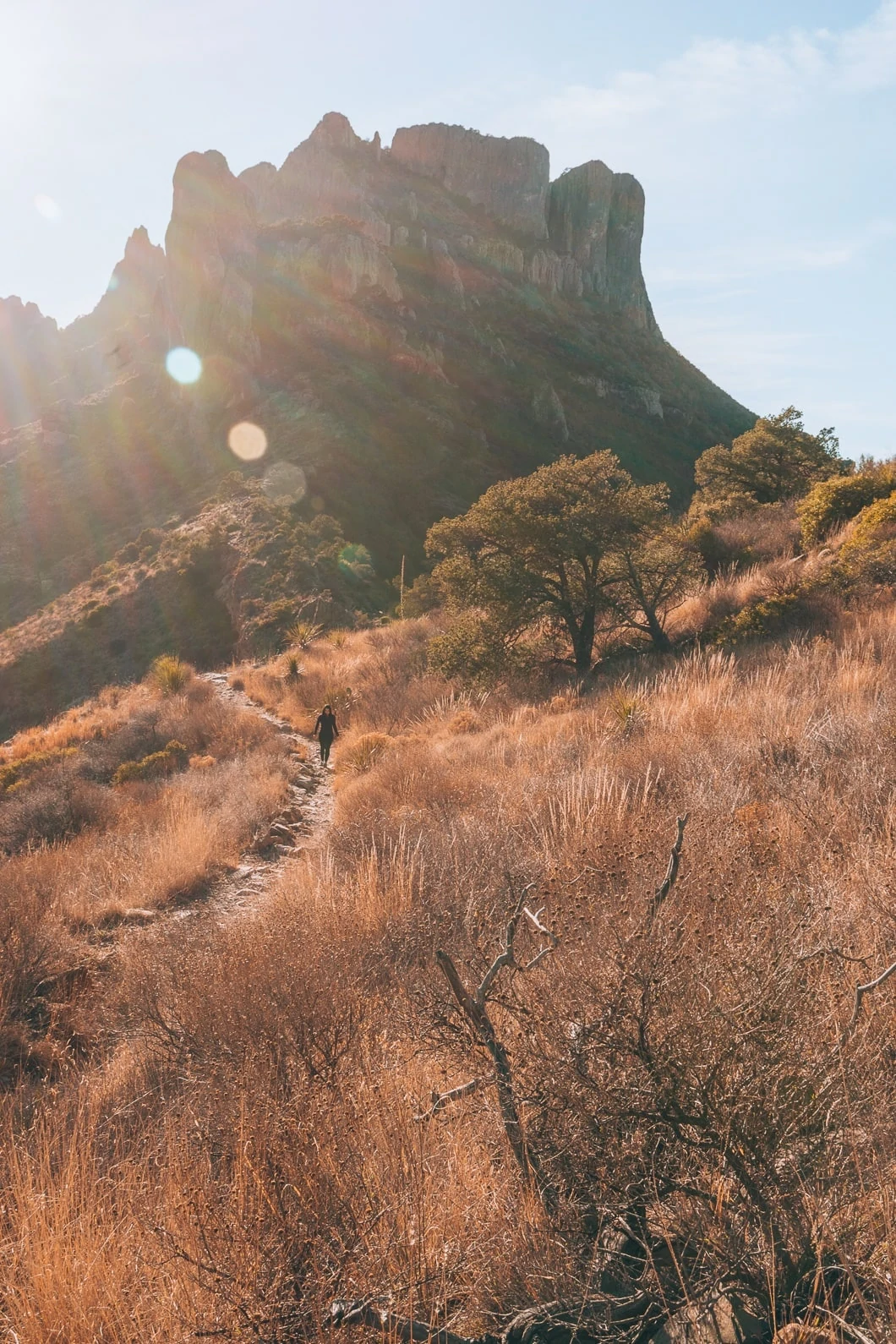 Big Bend National Park Hiking