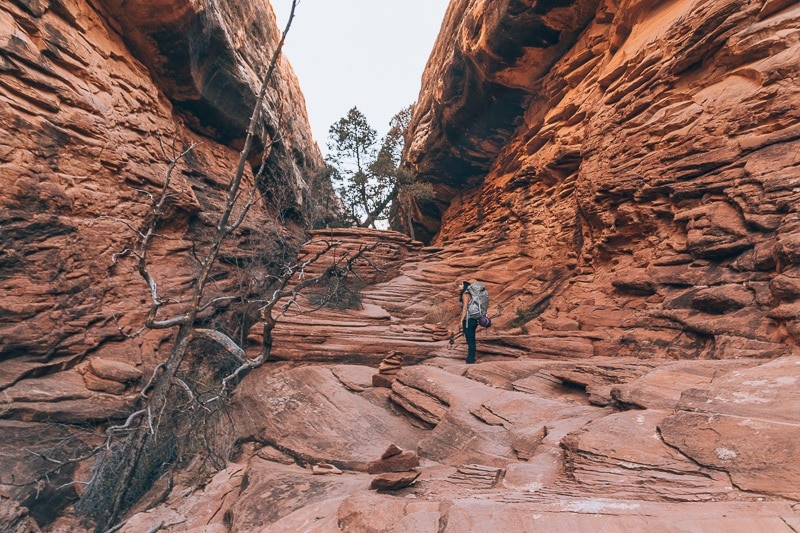 Backpacking Needles Canyonlands