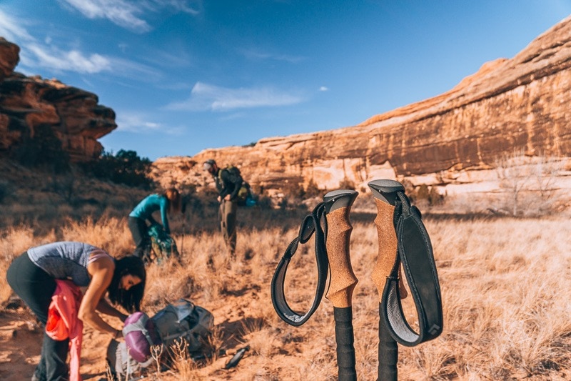 Canyonlands National Park views with a trekking pole handle