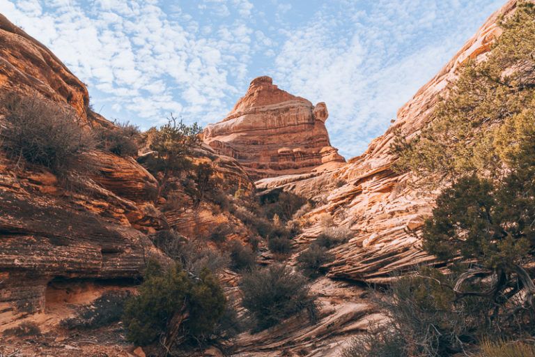 The Ultimate Needles Canyonlands Backpacking Guide