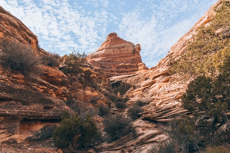 Backpacking Needles Canyonlands