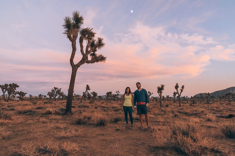 Joshua Tree national park