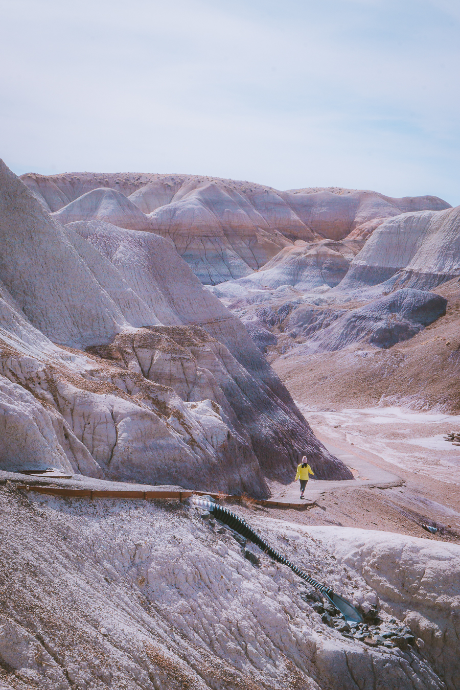 Petrified Forest National Park