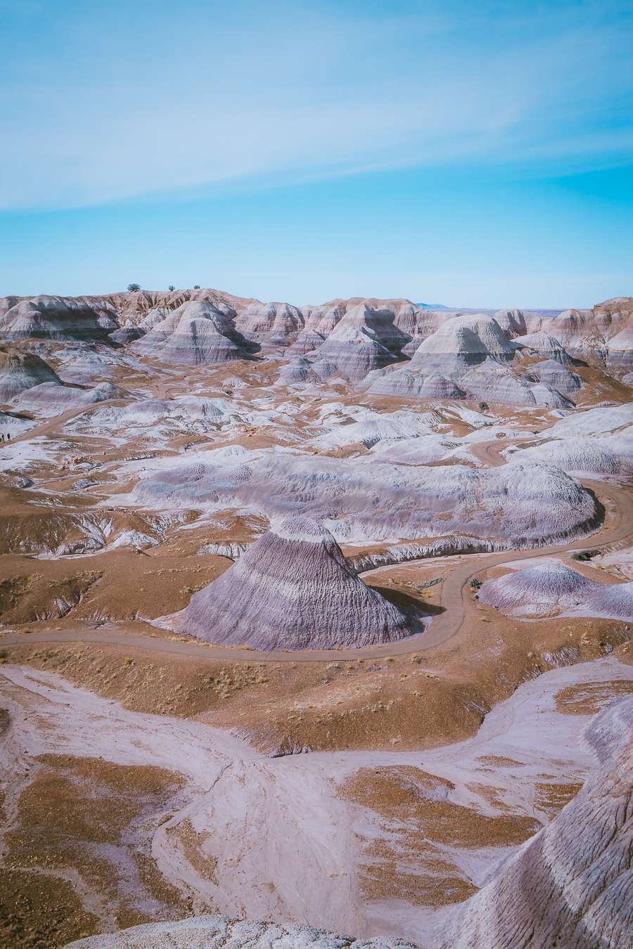 Petrified Forest National Park