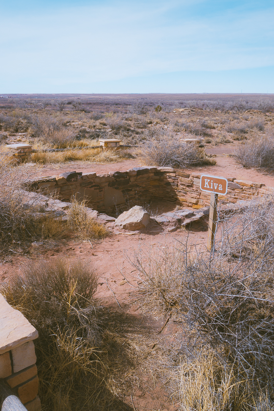 Petrified Forest National Park