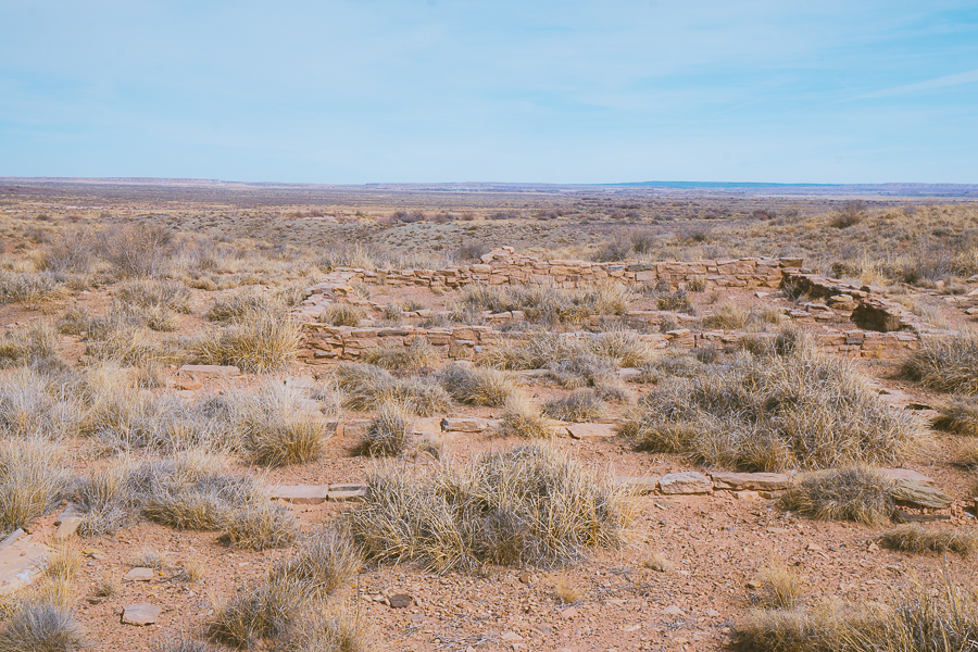 Petrified Forest National Park