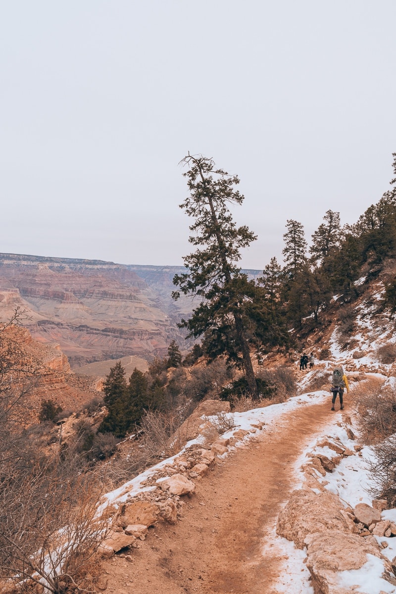 Bright Angel Trail at the Grand Canyon