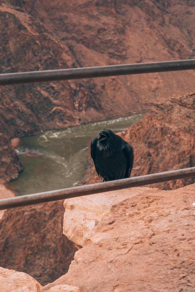 Plateau Point in The Grand Canyon