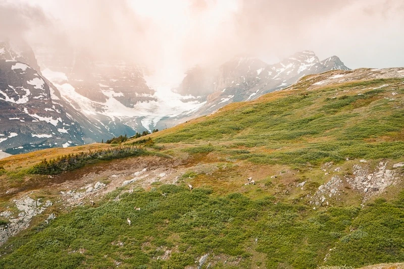 Best hikes in banff