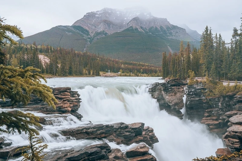 Things To Do in Jasper National Park