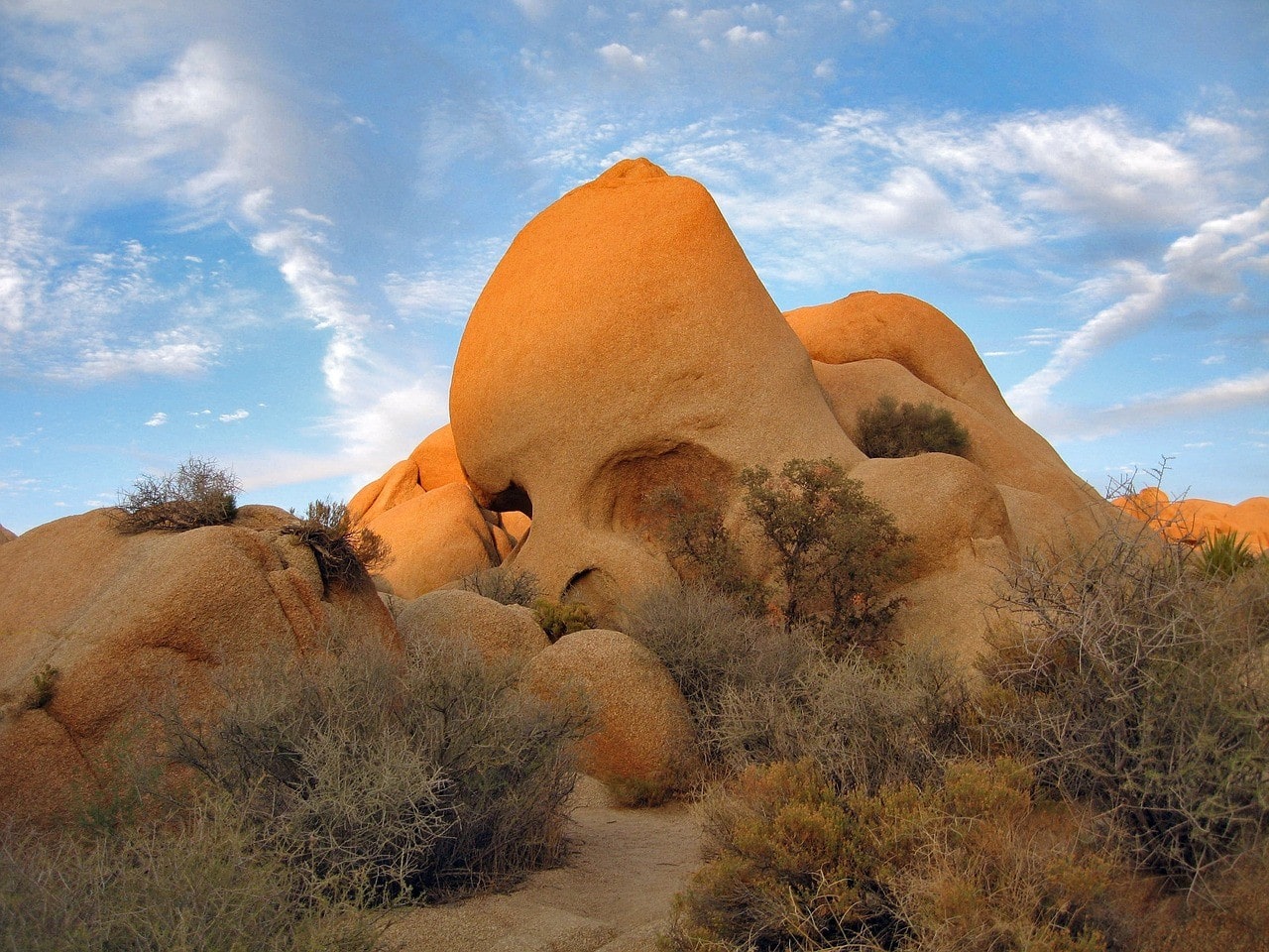 Things To Do In Joshua Tree National Park