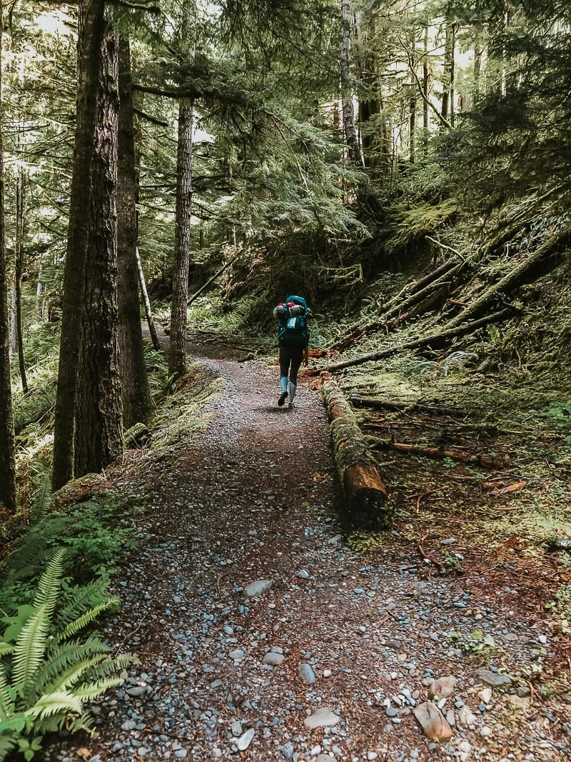 Enchanted Valley Olympic National Park