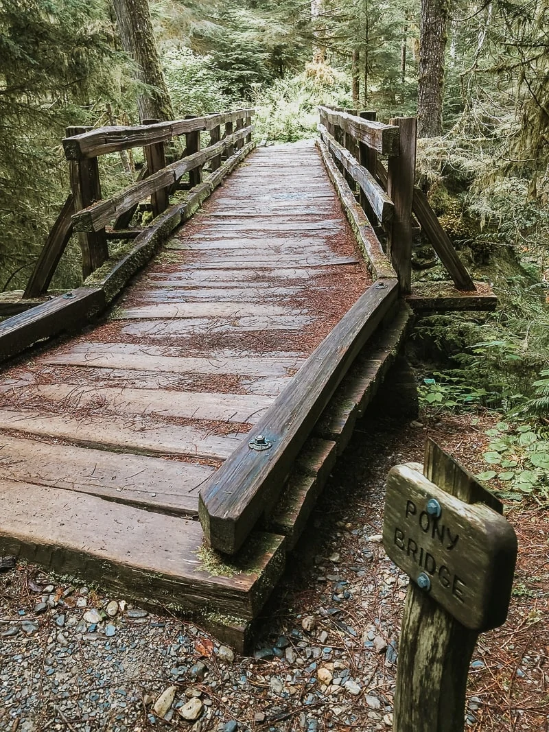 Enchanted Valley Olympic National Park