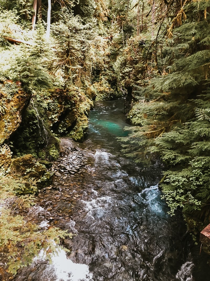 Enchanted Valley Olympic National Park