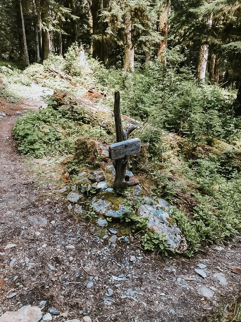 Enchanted Valley Olympic National Park