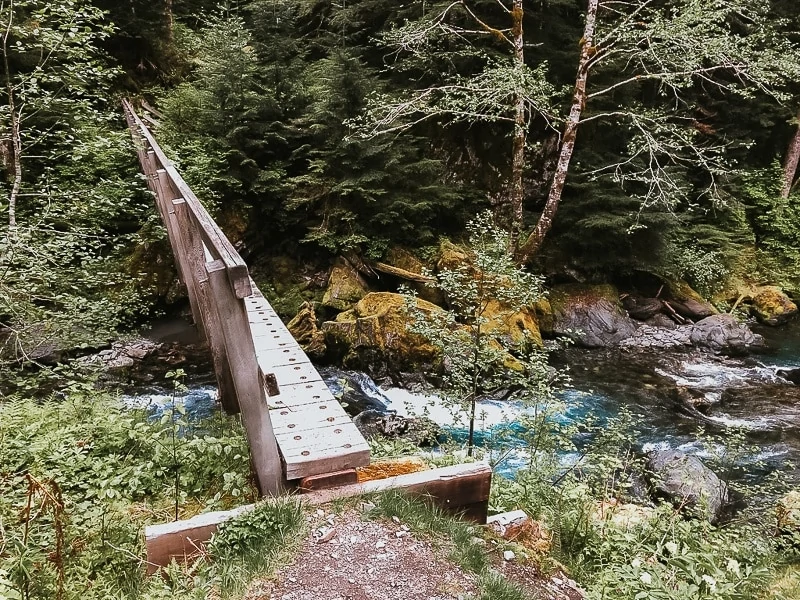 Enchanted Valley Olympic National Park