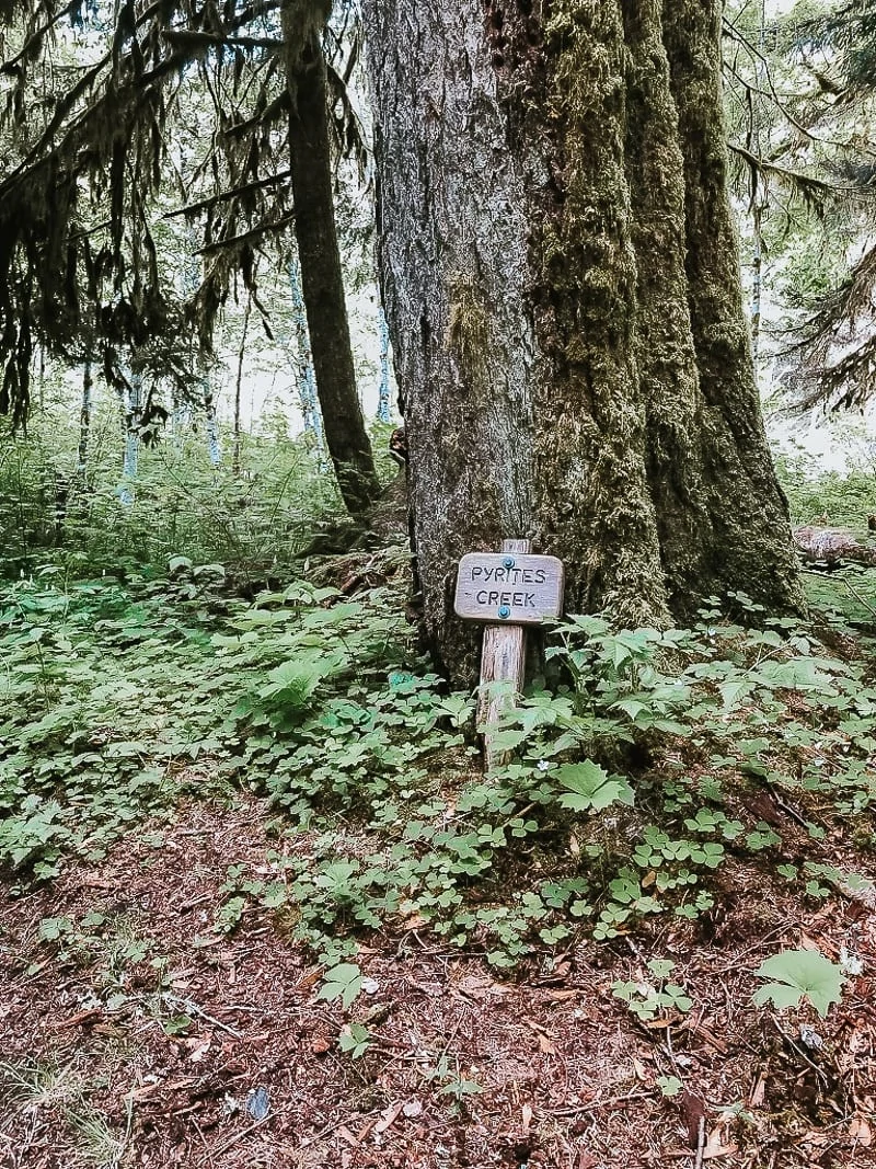 Enchanted Valley Olympic National Park