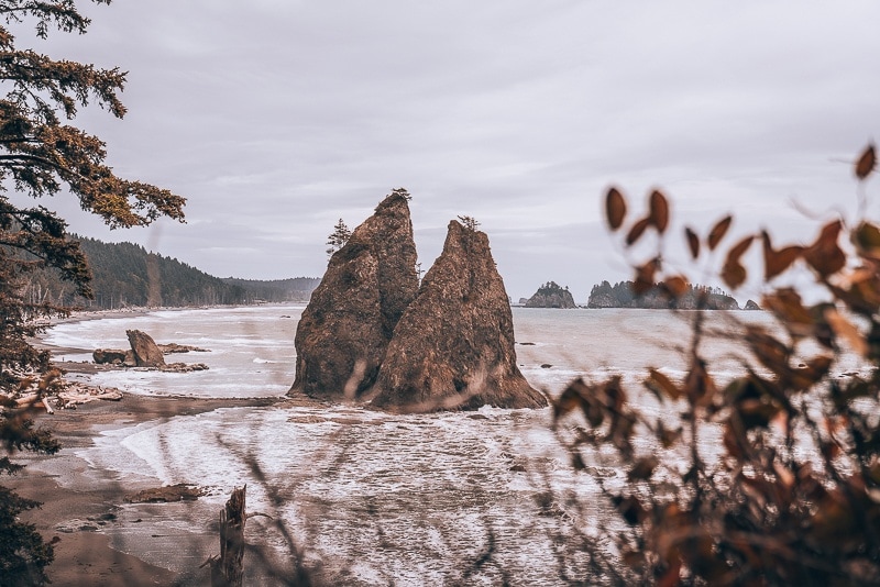 Rialto Beach Wa Tide Chart