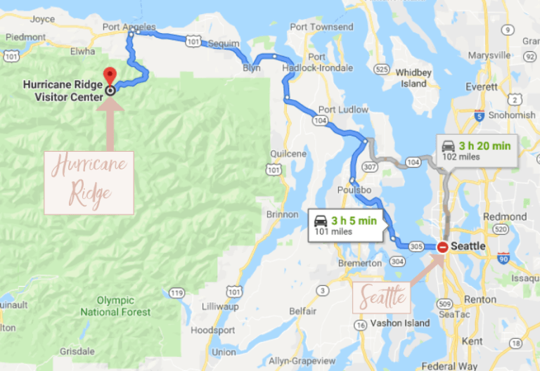 Everything You Need To Know About The Hurricane Ridge Hike The Wandering Queen