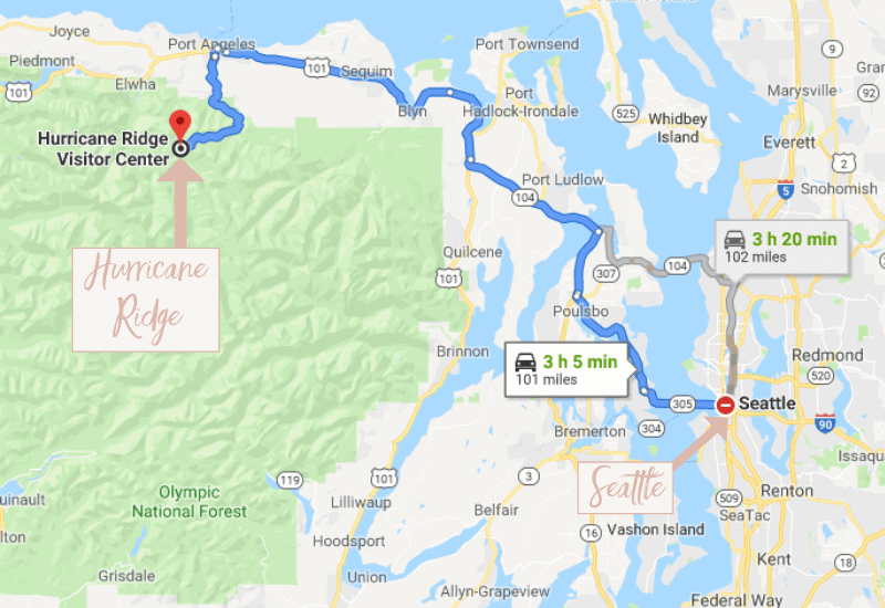 Everything You Need To Know About The Hurricane Ridge Hike The Wandering Queen