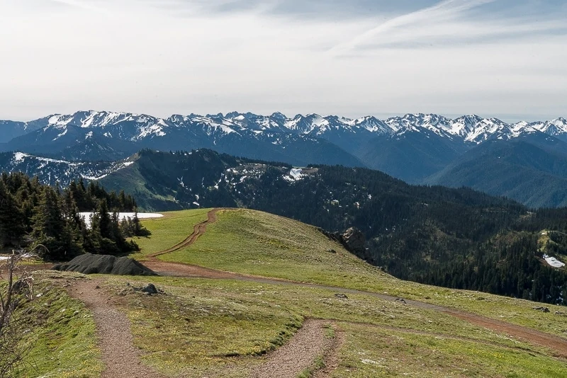 Hurricane Ridge Hike