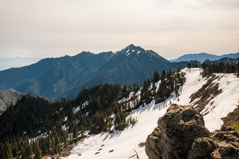 Hurricane Ridge Hike