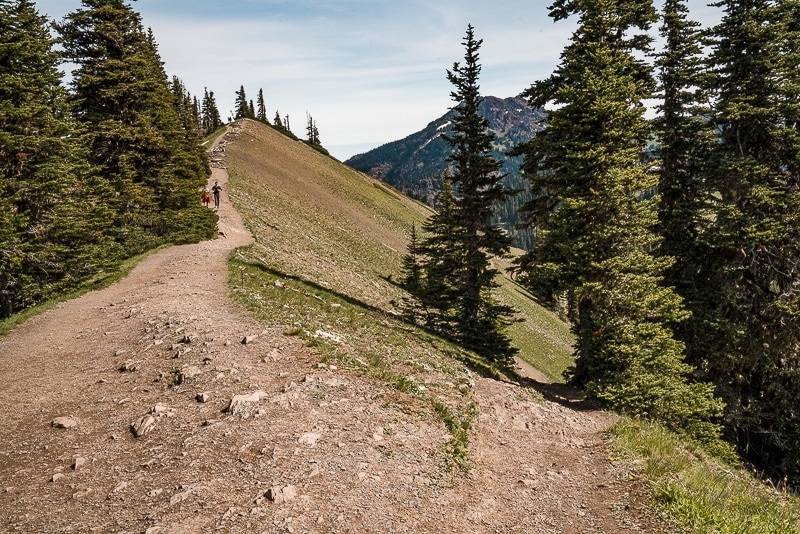 Hurricane Ridge Hike