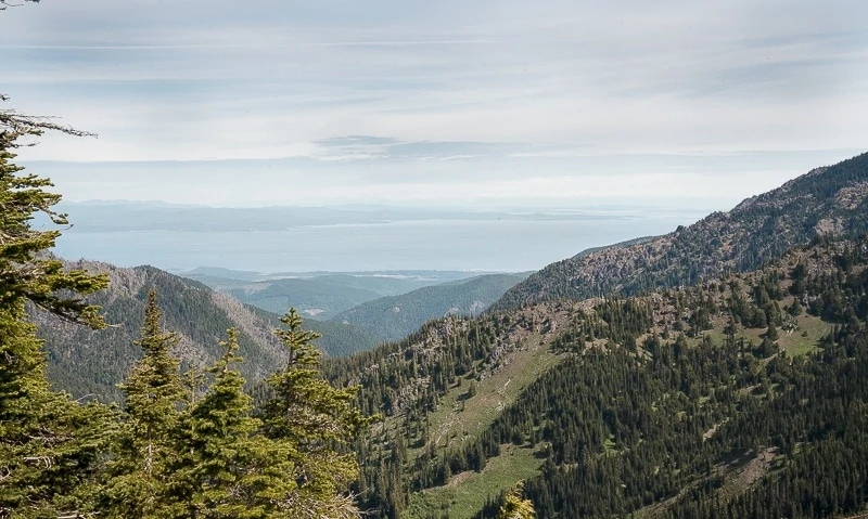 Hurricane Ridge Hike