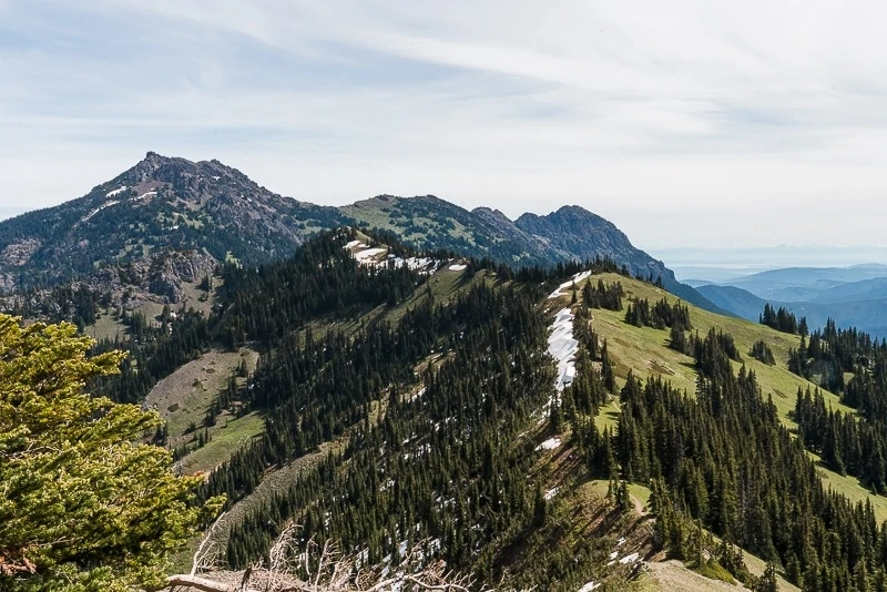 Hurricane Ridge Hike