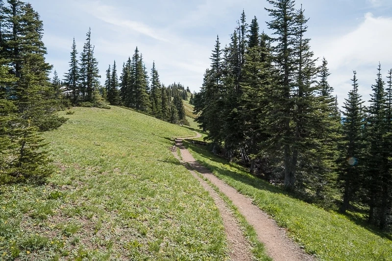 Hurricane Ridge Hike