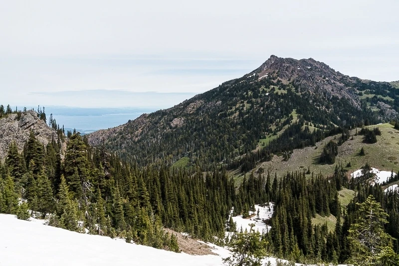 Hurricane Ridge Hike