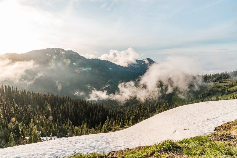 Hurricane Ridge Hike