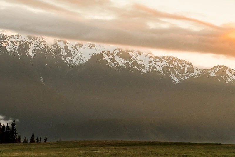 Hurricane Ridge Hike