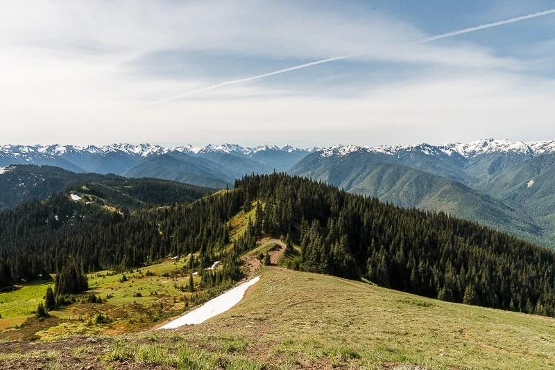 Hurricane Ridge Hike