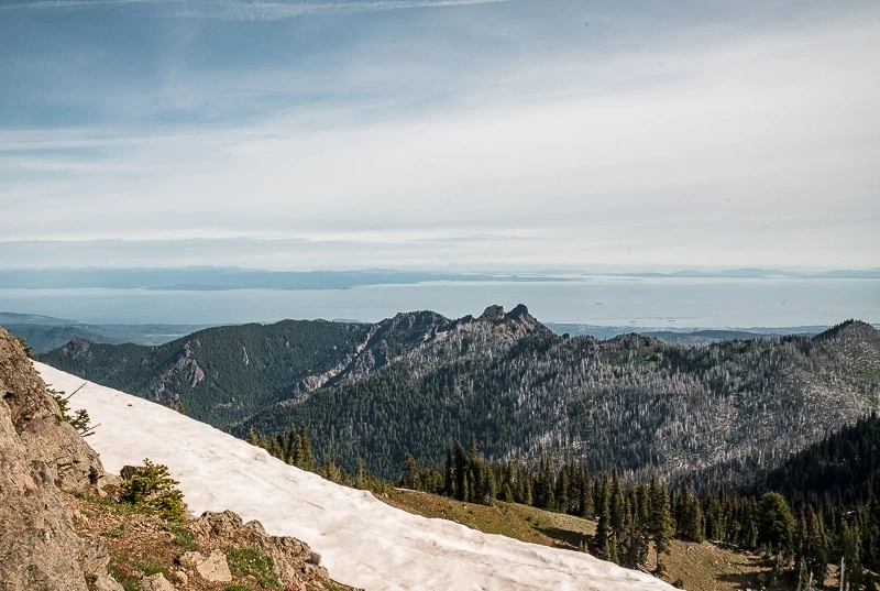 Hurricane Ridge Hike