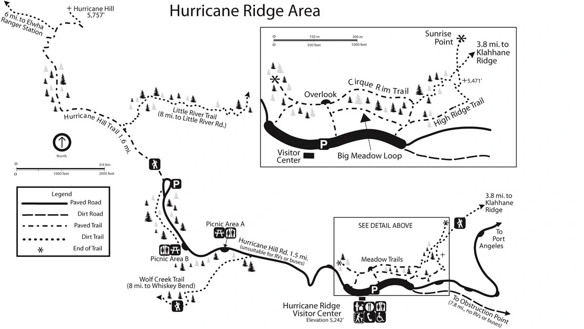 Hurricane Ridge Hike