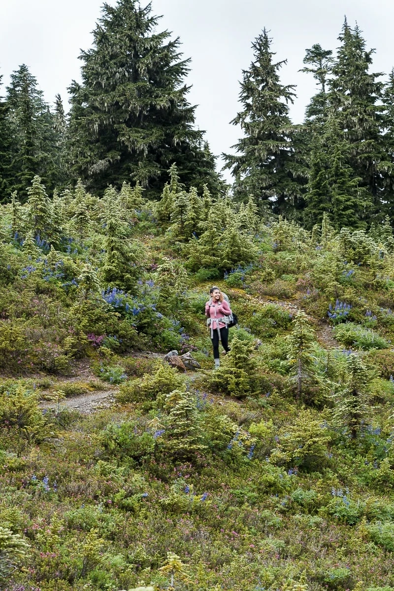 High Divide Trail - Seven Lakes Basin Loop