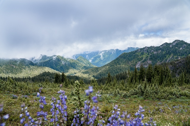 High Divide Trail - Seven Lakes Basin Loop