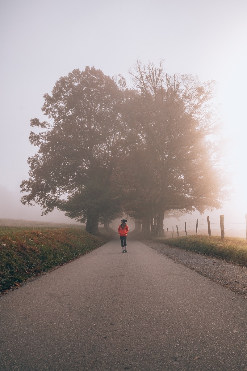 smoky mountain views of cades cove with fog