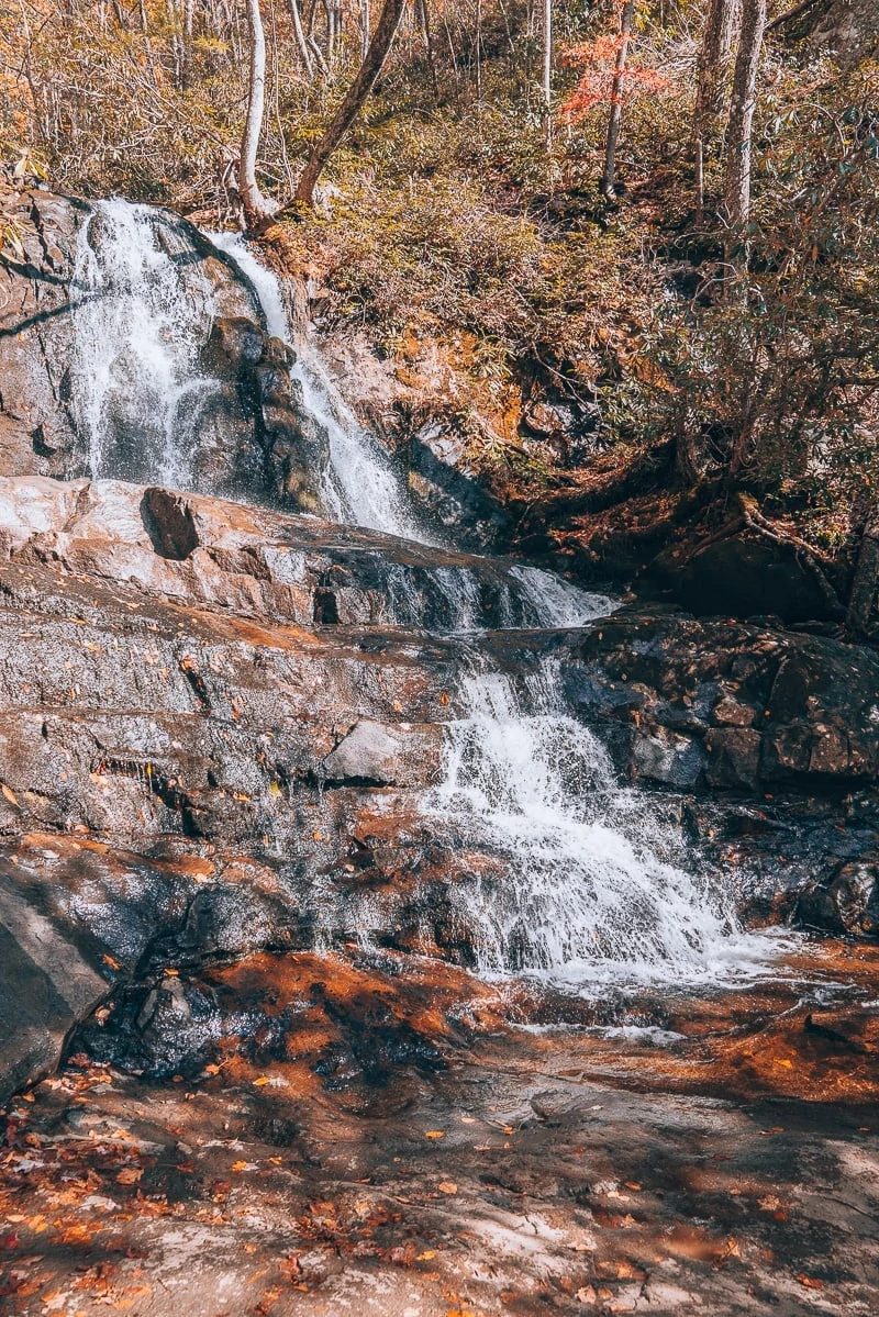 picture of laurel falls