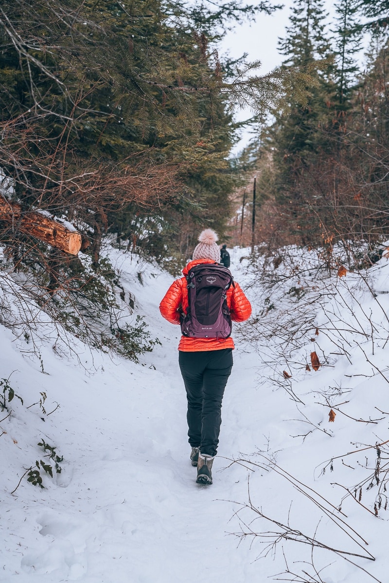 winter hiking backpack