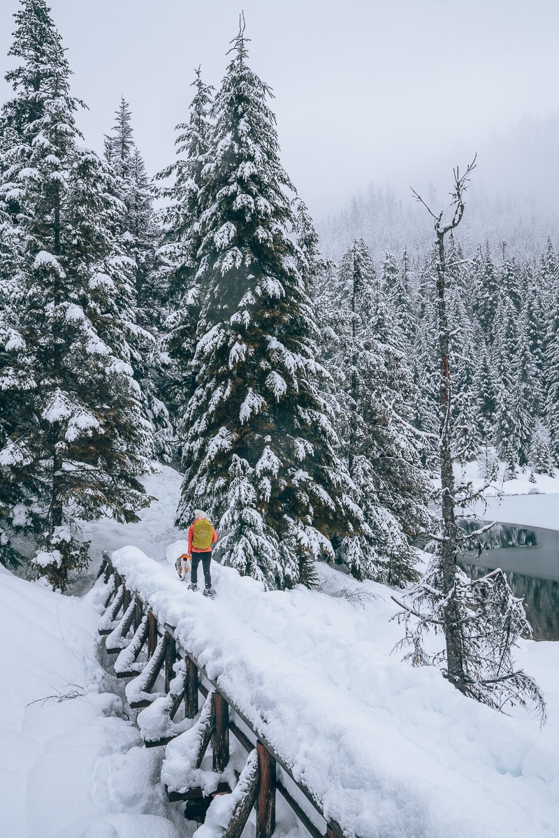 winter hiking in gold creek trail