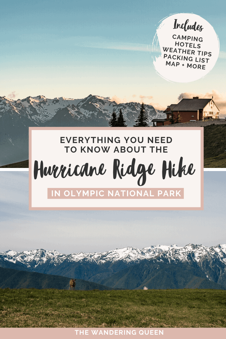 Hurricane Ridge Hike pin