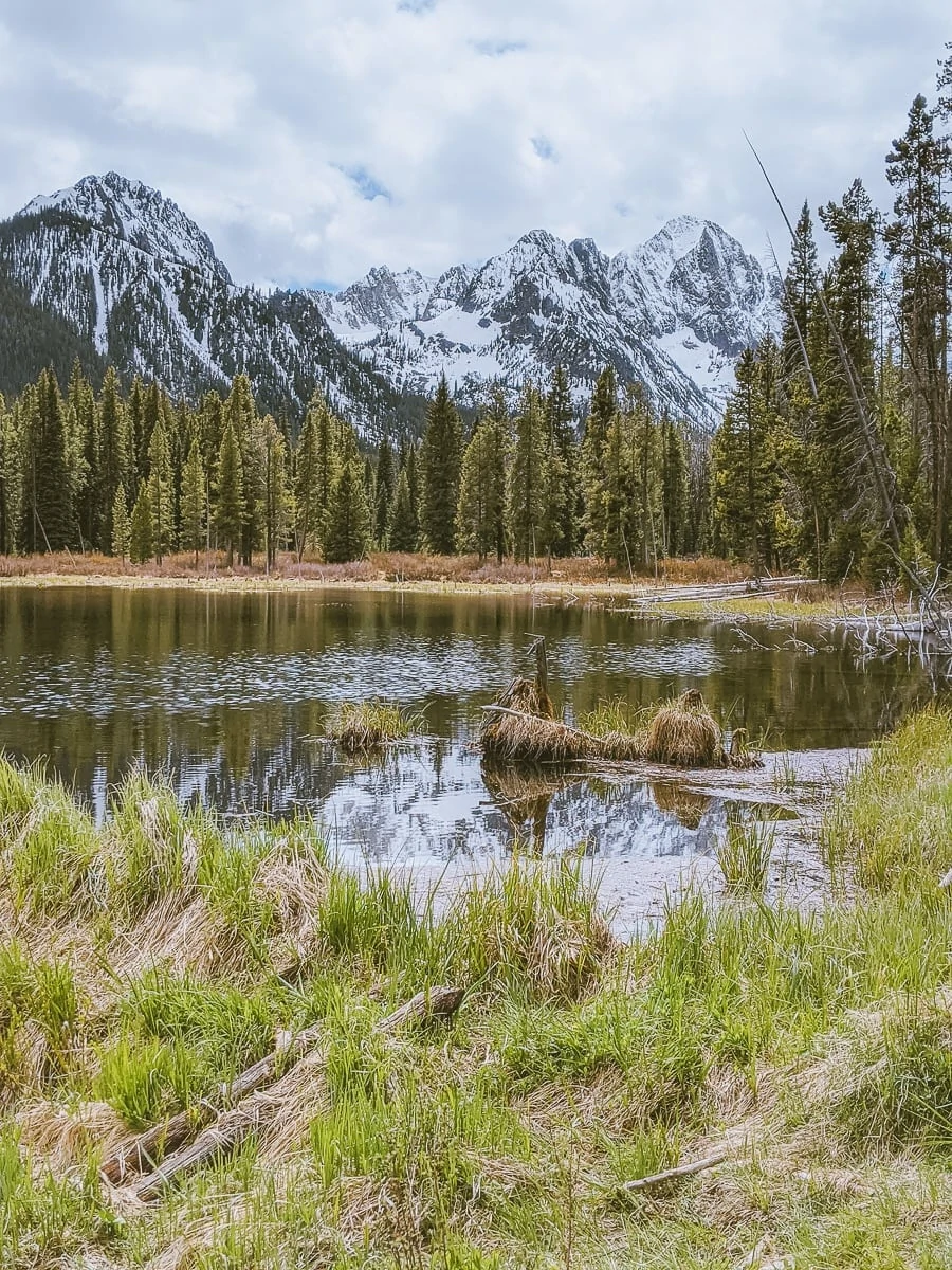 Fishhook Creek Trail