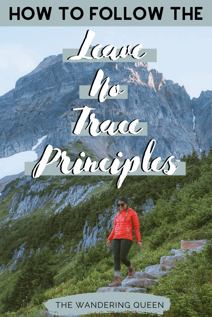 7 Principles Of Leave No Trace: pin