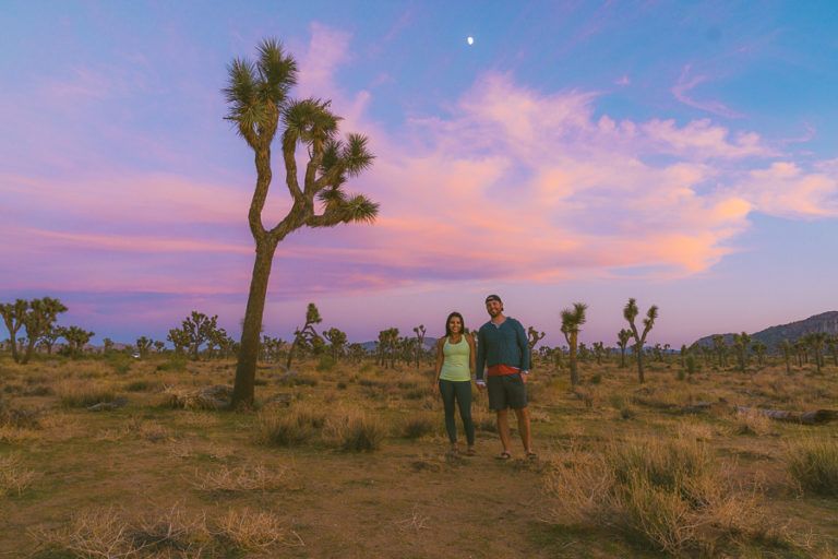 The Perfect 2-Day Joshua Tree Itinerary